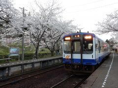 松井ジーター記念展示と、桜の時期の能登半島巡り