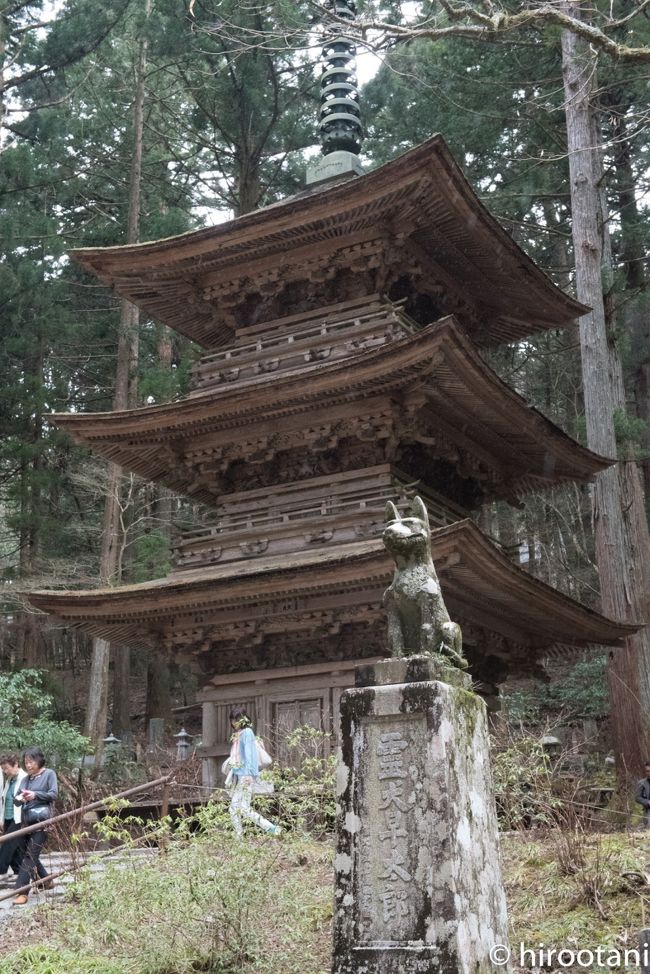 クラブツーリズムの高遠小彼岸桜のツアーには、枝垂れ桜で有名な光前寺訪問も含まれていました。本来ならば、枝垂れ桜も咲いている時期ですが、なんと、４月１６日現在で、まだ開花もしていませんでした。したがって、今回は桜見物ではなくお寺訪問となりました。光前寺は大変由緒正しいお寺で、徳川幕府からも随分優遇されていたとのこと。<br /><br />苔むす境内と大きな木に囲まれ、厳かな佇まいです。ここには、早太郎という化け物を退治した犬の伝説もあります。<br /><br />このお寺を出た後は、アルプス水仙ロードで、道沿いに植えてある美し水仙を見て回りました。