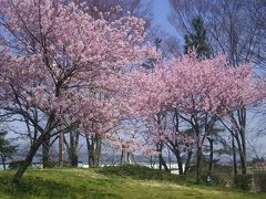 桜前線追いかけて！気ままにドライブ一泊旅行！