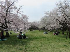 立川の国営昭和記念公園を初訪問(４月１０日は桜満開の日）