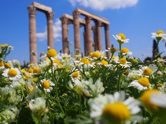 春のギリシャ　サントリーニ島・アテネ 　アテネ編①