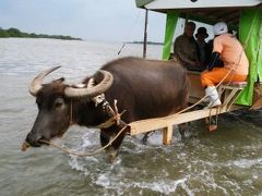 一度は行きたかった石垣島