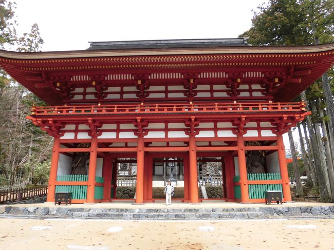 春爛漫!三年ぶりに四国一周逆うち通し遍路に挑戦しました。<br />今回も 中日には高野山と西国六ヶ寺と欲張りました。<br />七度目の高野山は気温6℃ 平日でも外国の人々が多く冬の装いでした。<br />翌日 来年創建1,250年を迎える春日大社の特別参拝をしました。<br />また西国4番札所 難所で有名な槇尾寺には満開の桜が咲き 老若男女のたくさんの参拝者で賑わっていました。<br />シルバー世代は‘病’ともお友だち<br />いつも以上に薬も必要となりましたが 目標達成できました。<br />平年よりゆっくりと訪れた桜を 各地で満喫しながら 走行距離1,770Kを無事に 充実した一週間を過ごしました。 感謝!<br /><br />~写真の説明~<br /> 高野山 中門 奥は金堂<br /><br />~おまけ~<br /> 四国遍路と西国巡礼で気付いたこと<br /> 錦のお札や金銀の札がある88ヶ所では 団体のみならず個人でも<br /> 読経をする人が多く 西国ではあまりみかけませんでした。