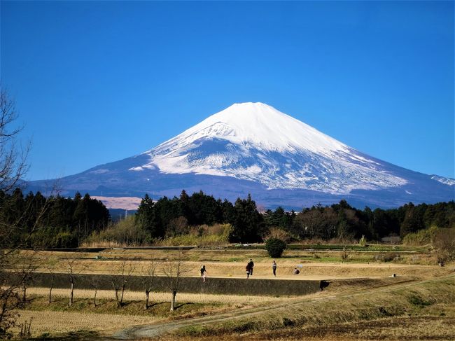 ご覧いただきありがとうございます。<br /><br />今日は大晦日、あと十数時間で2016年が終わろうとしています。<br /><br />さて、私は東海道新幹線に乗ると必ず富士山を見ます。<br /><br />自称晴れ男でも綺麗な富士山に出会うことは中々難しいです。<br /><br />ご覧の皆さまは如何ですか？<br /><br />今日の横浜は快晴で、もしかしたら…綺麗な富士山に出会えるかもと思い<br /><br />ノープランで静岡県へ行ってみました。<br /><br />どんな旅になるでしょうか～<br /><br />※表紙をはじめ旅行記にUPしている富士山画像の一部には画像処理（青空と雪を強調）をしています。<br />