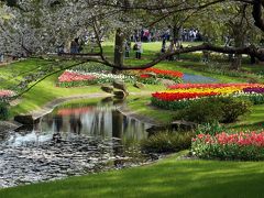 Flower Festival 2017 in 昭和記念公園 