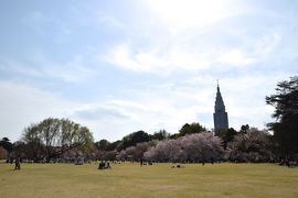 ひとりお花見部 都内篇　江戸川区 旧中川と太田記念美術館と新宿御苑