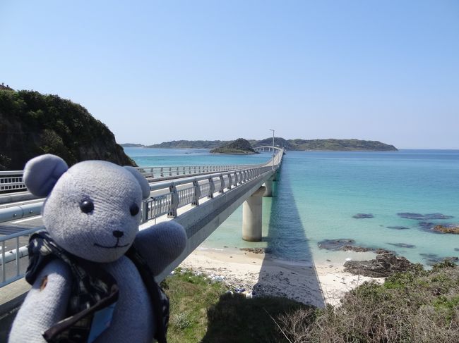 山口県内で最近絶景地として人気観光地になっているのは、下関市豊北の角島と、長門市の元乃隅稲成神社。<br />どちらも行ったことはありますが、最近の人気ぶりで週末は道が渋滞しているとか。<br />自主リストラ敢行により平日動ける身分になりまして、ここ数年行ってないし、お天気がいいし、と日帰りドライブ決行。<br /><br />角島に行く途中、ぽんぽこの里ってのができてましたので、思わず立ち寄っちゃいました。<br />美祢インターを降りてから休憩するところって意外とないので、立ち寄りにはお勧めですね。<br /><br />最終行程<br />小郡インター　→　美祢インター　→　ぽんぽこの里（休憩）　→　道の駅豊北街道　→　角島大橋　（以上０１）<br />角島大橋　→　長門元乃隅稲成神社　→　千畳敷　→　俵山シャクナゲ園　→　美祢インター　→　小郡インター　（以上０２）