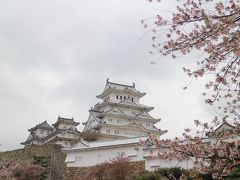 三の一　雨の姫路城