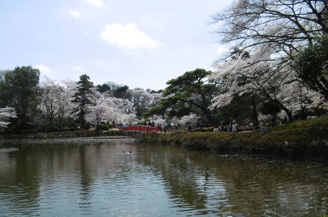 お花見、お花見♪