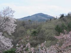 長瀞・野土山ハイキング③ロープウエイ乗り場&#12316;山頂駅付近散策&#12316;ロープウエイ乗り場