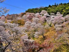 芳葩爛漫 吉野山逍遥④奥千本・如意輪寺（エピローグ）