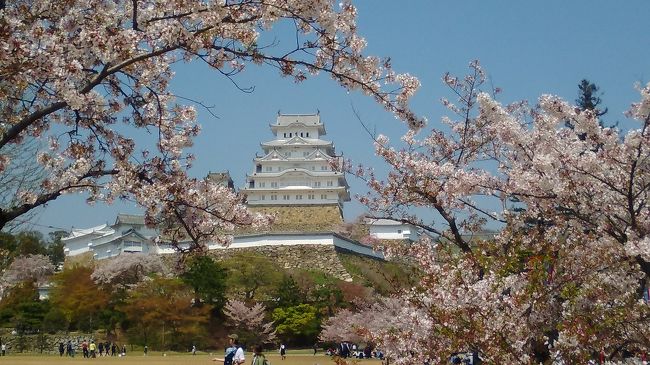 １週間前に行った富士山と桜を愛でる旅が散々だったため、そのリベンジとして姫路城に出かけてきました。<br />当日は桜の満開の時期も過ぎ、桜吹雪が舞う中での花見でしたが、平日のため観光客や花見客も少なかったので、ゆっくりときれいな姫路城を眺めることができました。<br />今回は天気が良かったので美味しいお酒ときれいな姫路城を十分堪能できました。<br />それにしても今年の桜の開花は１週間以上も遅い。<br />４月１０日過ぎて花見ができるなんて信じられないくらいです。<br />今回は旅行記ではなく、写真集にさせていただきます。