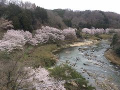 岩倉峡への花見