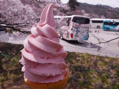 天下第一の桜『高遠桜』 ＆ 日本三大桜のひとつ『神代桜』