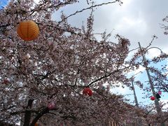 ヨーテボリの桜　J&#228;rntorget