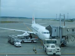 新千歳空港～帰路もJAL便で◆2016初夏の爽やか北海道／湖沼と滝をめぐる旅≪その１５・最終章≫