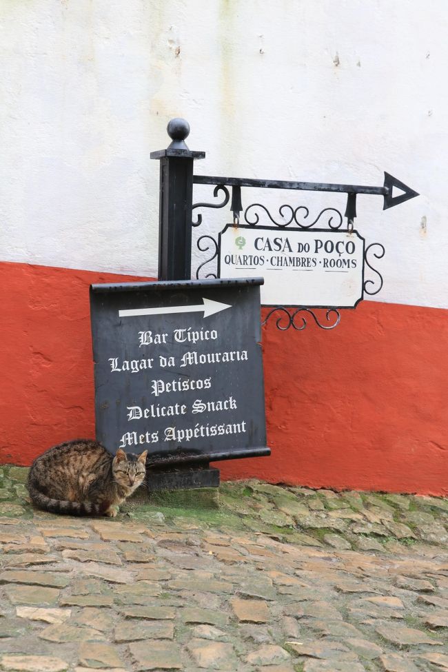 レンタカーで巡る、年末年始のポルトガル〈１３－１１〉　～谷間の真珠・オビドスの朝～