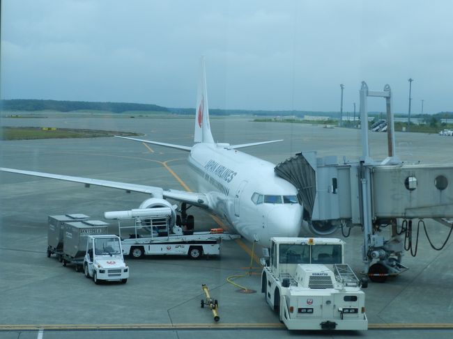 北海道の旅行も帰る時間になってしまいました。<br />帰路便は新千歳13:00→関空のJAL便です。<br />早めに空港に着いたので、新千歳空港内をいろいろ散策したので、その様子と帰路の様子も併せてご紹介しま～す！