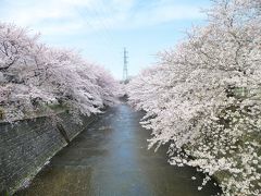 町田の旅行記