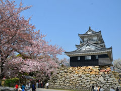 初めての浜松城公園=散り始めた桜= 2017.04.14