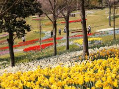 淡路花祭２０１７春　その２　国営明石海峡公園