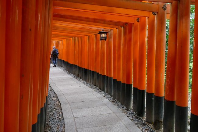 京都・(奈良公園)