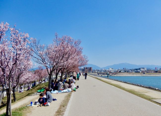 今年の春は寒かった。<br />今年の桜は遅かった。<br /><br />おーい！ 花咲か爺さん  お仕事忘れてませんか（笑）<br /><br />出番ですよー<br />遅刻ですよー<br /><br />大阪の開花は3/30<br />開花宣言されたものの 咲いてるのは5～6輪ほど<br /><br />そんなちびっとで満足できるか～い(=￣ ρ￣=) <br /><br />4月に入って最初のお休み 3日の月曜日<br />そんでもって晴天なり♪<br /><br />お休みが決まった時点でどこにお花見に出かけようかと<br />候補に挙げてた所が…全部あかんやーん<br /><br />で、調べました！<br />本日今日、大阪でお花見できる所 どこかないの～<br /><br />みっけたぁぁぁああああ！！！！<br /><br />【大阪府内で一番にお花見ができる 《狭山池公園》】<br /><br />風は結構あるけど、お天気いいので問題ないっしょ(o^^o)<br />って事で、自転車でお出かけ決定