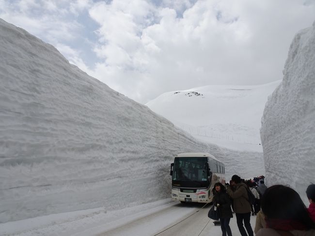 昨年は長野の桜と高遠の桜を楽しんだメンバーで、立山アルペンルートの「雪の大谷」と以前から興味のあった白川郷と飛騨高山をセットにしたバスツアーに参加しました。<br /><br />天気予報は、2日前まで両日とも雨と曇り・・「持ってる！」と思っていた私たちも、今回ばかりはダメかなと思ったのですが、結果は？