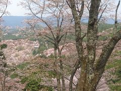 九州からフェリーに乗って桜満開の吉野へ