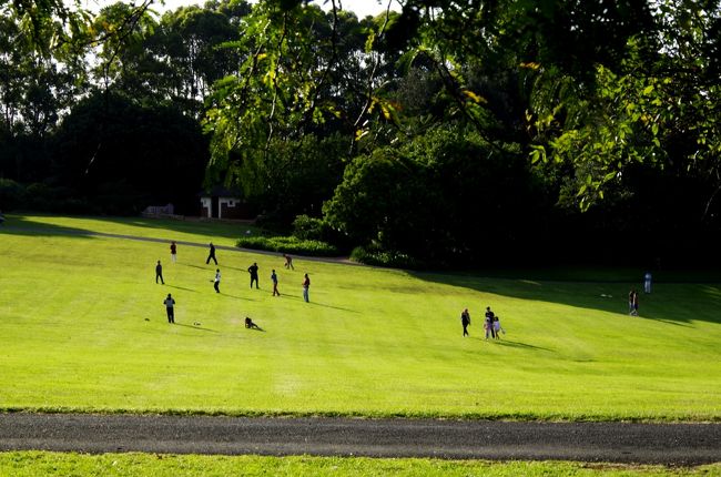 かつてFagan一族が所有していた55エーカー（！）の敷地が国に寄付され、公園となって生まれ変わったそうな。それにしてもこんな広大な敷地を所有していたとは驚きなり。Faganさんが誰なのか正直存じ上げませんが、海外はスケールが違いますな・・・<br /><br />http://www.hornsby.nsw.gov.au/my-lifestyle/sports-and-recreation/parks-and-playgrounds/galston/fagan-park