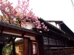 京都・島原・角屋さんの　八重桜　・・・・　お二階からの　眺めは　素晴らしい！　