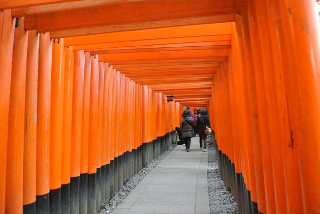 1月末に大阪3泊、兵庫1泊、香川1泊、京都3泊の計8泊の旅をしてきました。<br />大阪は街歩きとグルメの旅、兵庫では姫路城と有馬温泉、香川へはレンタカーで讃岐うどんの食べ歩き、京都では定番の観光地巡りをしてきました。<br />8泊という少し長めの旅行による疲労と、大寒波到来中で寒かったことも影響し途中体調を崩したりもしましたが、よく歩いていい運動になりました(笑)<br /><br />行程<br />1日目　新千歳空港→伊丹空港、大阪観光、大阪泊(レッドルーフ大阪)<br />2日目　奈良観光、大阪泊(レッドルーフ大阪)<br />3日目　新喜劇観覧、大阪観光、大阪泊(レッドルーフ大阪)<br />4日目　姫路城見学、香川泊(オークラホテル丸亀)<br />5日目　うどん食べ歩き、有馬温泉泊(有馬ロイヤルホテル)<br />6日目　京都嵐山観光、京都泊(サクラテラス)<br />7日目　京都観光、京都泊(サクラテラス)<br />8日目　新喜劇観覧、京都観光、京都泊(サクラテラス)<br />9日目　大阪観光、伊丹空港→新千歳空港