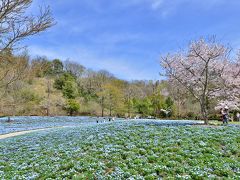 花フェスタ記念公園・春の無料感謝ＤＡＹ（2017）