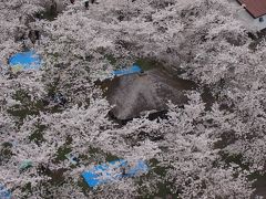 ２０１７福島桜めぐりと大内宿
