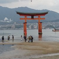 そうだ広島に行こう【宮島散策編 桜の時期に間に合って良かった】