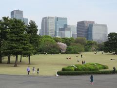 新緑の皇居・東御苑を訪問する③汐見坂～本丸～天守台　～本丸～桜の島～富士見多聞