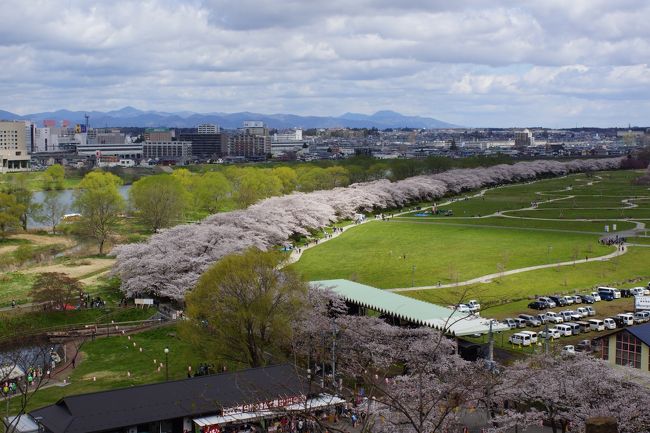 桜はほとんど散ってしまった。<br />今更桜の旅行記を投稿しても、見て頂ける人は居ないのではないか。そんな心配をしながら、遅ればせながら、やっと投稿します。