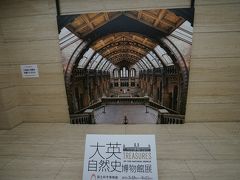 2017.4 大英自然史博物館展（2）