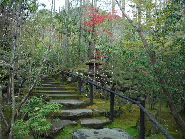 桜は満開時期を過ぎてましたが、うららかな日和に、日田市の木の花グルテンでバイキングランチした後、天ヶ瀬温泉「山荘 天水」で温泉に入ってきました。