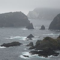 下田に泊まって伊豆一周ドライブ旅行