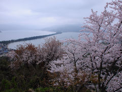 桜咲く天橋立へ【２】～懐かしの天橋立を歩く～