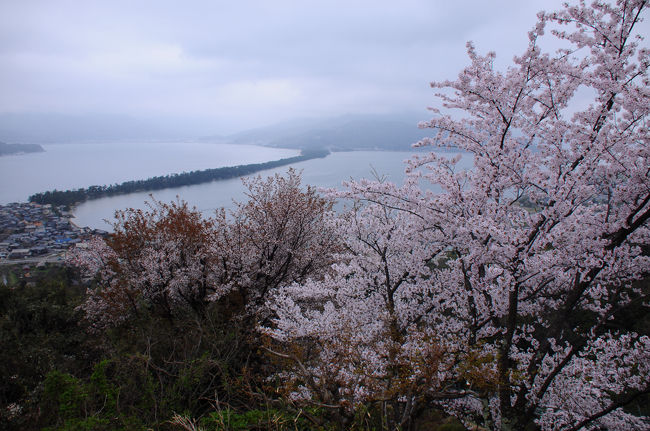 豊岡駅から、京都丹後鉄道に乗り換え、天橋立へと向かう。<br /><br />天橋立を訪れるのは、６年ぶり３回目。<br />前回は冬、その前は９月だったので、春、桜の咲く季節は初めてだ。<br /><br />今回は、天橋立近くに宿を取ったので、ゆっくり歩いてみようと思う。