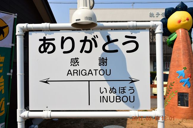 後半は銚子電鉄終点の外川駅までまず行って、外川の町を散策。<br />それから犬吠駅まで徒歩で戻り、犬吠埼灯台を見てから戻る方向へ残り駅をクリアーしました。<br /><br />■銚子電気鉄道HP<br />http://www.choshi-dentetsu.jp/<br /><br />■旅行記<br />2017 日本一のゆる鉄(^^♪　銚子電鉄に乗りに行く　ー前編：銚子駅～とっぱずれ海鹿島駅ー<br />http://4travel.jp/travelogue/11232838<br /><br />■過去のローカル線旅行記<br /><br />ねこ駅長タマで有名になった和歌山電鉄貴志川線<br />http://4travel.jp/travelogue/10971968<br /><br />スラムダンクで有名になった今だ根強い人気の江ノ島電鉄<br />http://4travel.jp/travelogue/11024797<br /><br />同じカラーが1台も無い東急電鉄世田谷線のカラフル電車<br />http://4travel.jp/travelogue/11021790<br /><br />ニセ新幹線も登場したJR予土線ホビートレイン<br />http://4travel.jp/travelogue/10945444<br /><br />電車と電車がクロスする伊予鉄道ダイヤモンドクロス<br />http://4travel.jp/travelogue/10947889<br /><br />昔は成田空港駅だった東成田駅と1駅3分で全線制覇できる日本一短い芝山鉄道<br />http://4travel.jp/travelogue/11028496<br /><br />ユニークな駅名標のローカル線ひたちなか海浜鉄道<br />http://4travel.jp/travelogue/11032345<br /><br />都電荒川線1日制覇 （三ノ輪橋～向原）<br />http://4travel.jp/travelogue/11080905<br /><br />都電荒川線1日制覇 （東池袋～早稲田）<br />http://4travel.jp/travelogue/11084091<br /><br />