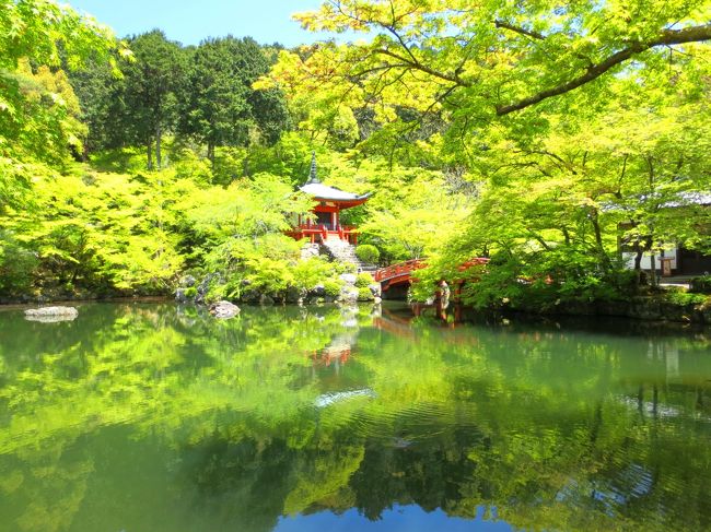 桜の季節に関西出張したかったんだけれど、この時期も京都は見ごたえたっぷりですね！