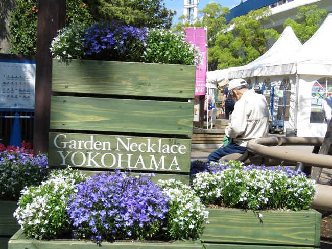 3月25日から6月4日まで、都市緑化横浜フェアが開催されています。今日は天気も良いのでプラプラと、館内駅から横浜スタジアム、日本大通り、山下公園あたりを散策してきました。<br />