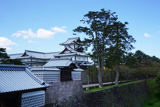 京都と同様に古都として観光客の人気を集めている金沢は、大きな魅力に溢れた都市である。ただ、京都とはやや趣が異なるような気がする。金沢は「小京都」と言われているが、小生はこの呼称はふさわしくないと思う。金沢には金沢の独自性がある。他の真似をする必要はない。<br /><br />金沢には10 数年前に訪れたことがあるが、今回来てみて大きな変貌を遂げているのに気が付いた。新幹線が開通してからと言うもの、一気に観光客が増えたようだ。特に、外国人が倍増しているのには驚いた。街を歩いていると、周りから聞こえてくる言葉は英語、ドイツ語、韓国語、中国語等で、実に多くの外国人観光客で溢れている。金沢はそれだけ外国人に魅力的なところなのだろう。<br /><br />金沢では定番中の定番ともいえる金沢城、兼六園をまず訪れた。どちらも素晴らしいの一言である。見学していると、ボランティアの方々があちこちに配置されていて、道に迷ったリ、何か聞きたいことがあるとすぐ対応してくれて、大いに助かった。<br /><br />金沢城は昔のままというよりは近年に再建された城であって、昔のままと言うわけではない。金沢城はやや満足感に欠けるが、一方、次に訪れた兼六園は自然を最大限に利用した公園で、美しい造形美を楽しむことが出来た。<br />