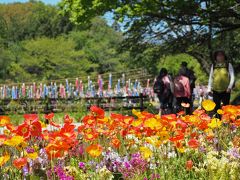 森の花園はためく鯉のぼり 【 ガーデンネックレス横浜/里山ガーデン 2017.4.23 　5.24 追記 】