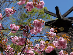 春の大洗磯前神社と大洗の海