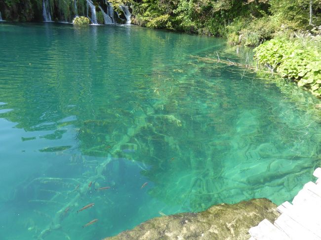 下湖群だけでもかなり満足ですが、今度は上湖群を見て回ります。天気もよく、汗ばむぐらいになってきました。