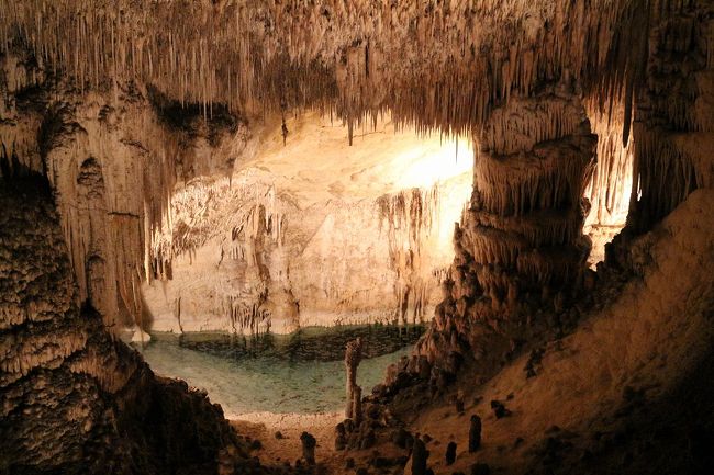 マヨルカ島の旅、5日目。<br /><br />この日向かったのはマヨルカ島の東側にある港町、Porto Christoの近くにあるドラック洞窟。滞在しているアルクディアからは車で約１時間。この地域に全部で４つある洞窟のうちの一つで、いずれの洞窟も中で全部繋がっているとか。ドラック洞窟の中には多くの鍾乳石の他に、地底湖有り、暗闇の中でのミニコンサート有りで、ちょっと他の鍾乳洞とは異色を放つ。マヨルカ島のエクスカーションとしてはおそらく最も有名な場所。鍾乳洞内はガイドに付き添われる形で進み、全て徒歩での移動となる。ただ、最後に地底湖をボートで移動するという選択肢もあり、貴重な体験もできる。見学時間はミニコンサートも含めて、おおよそ１時間。<br /><br />ドラック洞窟公式サイト：<br />http://www.cuevasdeldrach.com<br />※オンラインでのチケット購入や、pdfのリーフレットがダウンロード可能。<br /><br />ヨーロッパの洞窟シリーズ：<br />◆スロヴェニアのポストイナ洞窟<br />http://4travel.jp/travelogue/10952535<br />◆スロヴェニアのシュコツイアン洞窟<br />http://4travel.jp/travelogue/10288656<br /><br />旅行記：<br />1日目 パルマ・デ・マヨルカ<br />http://4travel.jp/travelogue/11220347<br />2日目 パルマ・デ・マヨルカ<br />http://4travel.jp/travelogue/11220355<br />2日目 バルデモッサとソイェル<br />http://4travel.jp/travelogue/11220363<br />2日目 パルマ・デ・マヨルカ（夜）<br />http://4travel.jp/travelogue/11228699<br />3日目 パルマ・デ・マヨルカ大聖堂<br />http://4travel.jp/travelogue/11228703<br />3日目 ミロ美術館<br />http://4travel.jp/travelogue/11233451<br />3日目～6日目 アルクディア<br />http://4travel.jp/travelogue/11233454<br />4日目 フォルメントール岬<br />http://4travel.jp/travelogue/11235064<br />5日目 ドラック洞窟←この旅行記<br />http://4travel.jp/travelogue/11235069<br />6日目 最終日 パルマ・デ・マヨルカ<br />http://4travel.jp/travelogue/11236894<br /><br />表紙写真：<br />ドラック洞窟の地底湖「Beach」